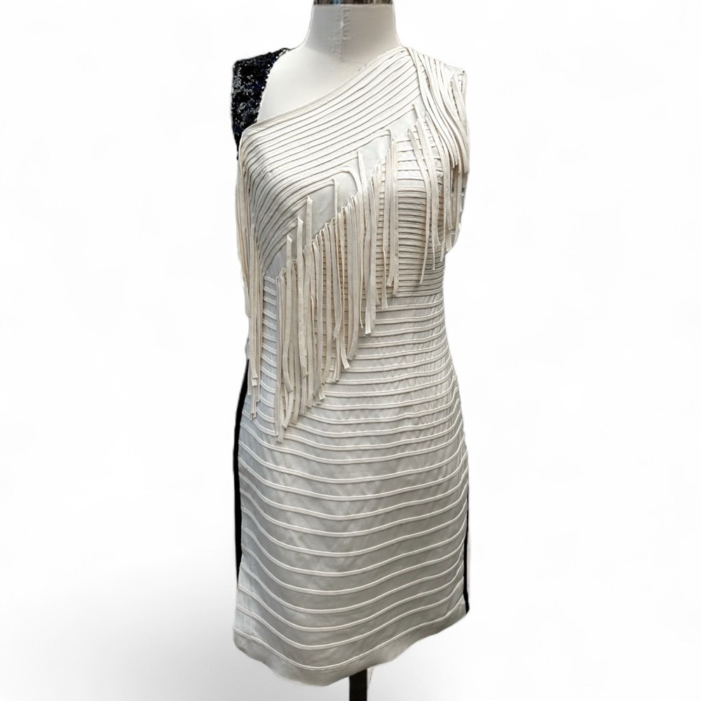 Sachin & Babi One Shoulder Silk Fringe Cocktail Dress Black Ivory 4